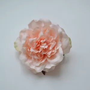 Pioni, irtokukka - Silkkikukka