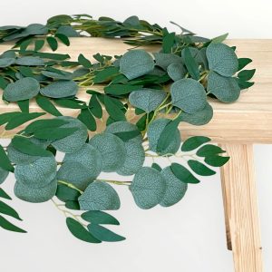 Eucalyptusköynnös 1,9m
