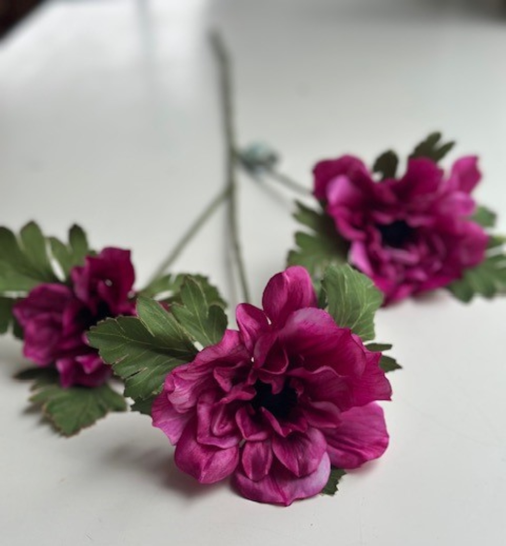 tekokukka kruunuvuokko violetti kukka