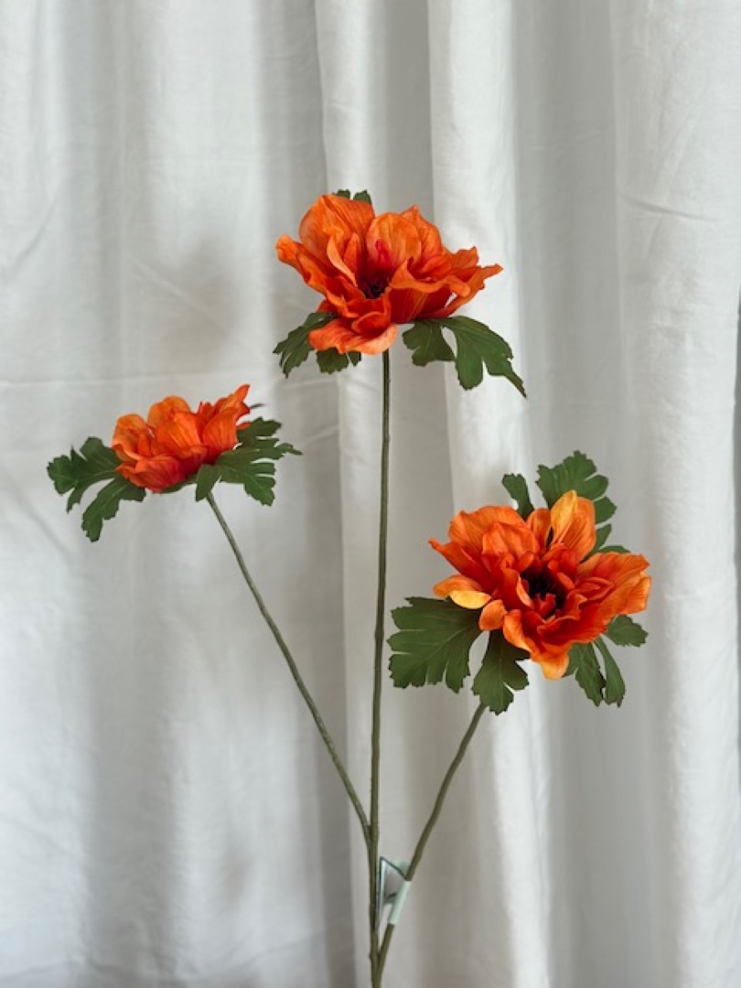 Kruunuvuokko oksa - silkkikukka - Image 3