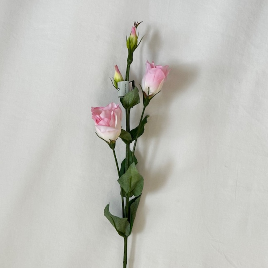 silkkikukka pinkki eustoma