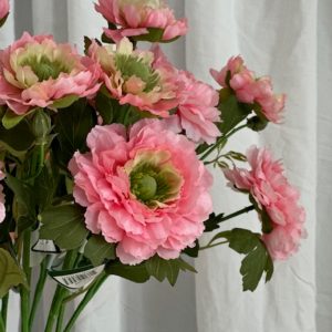 silkkikukka leinikki