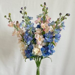 tekokukka ritarinkannus